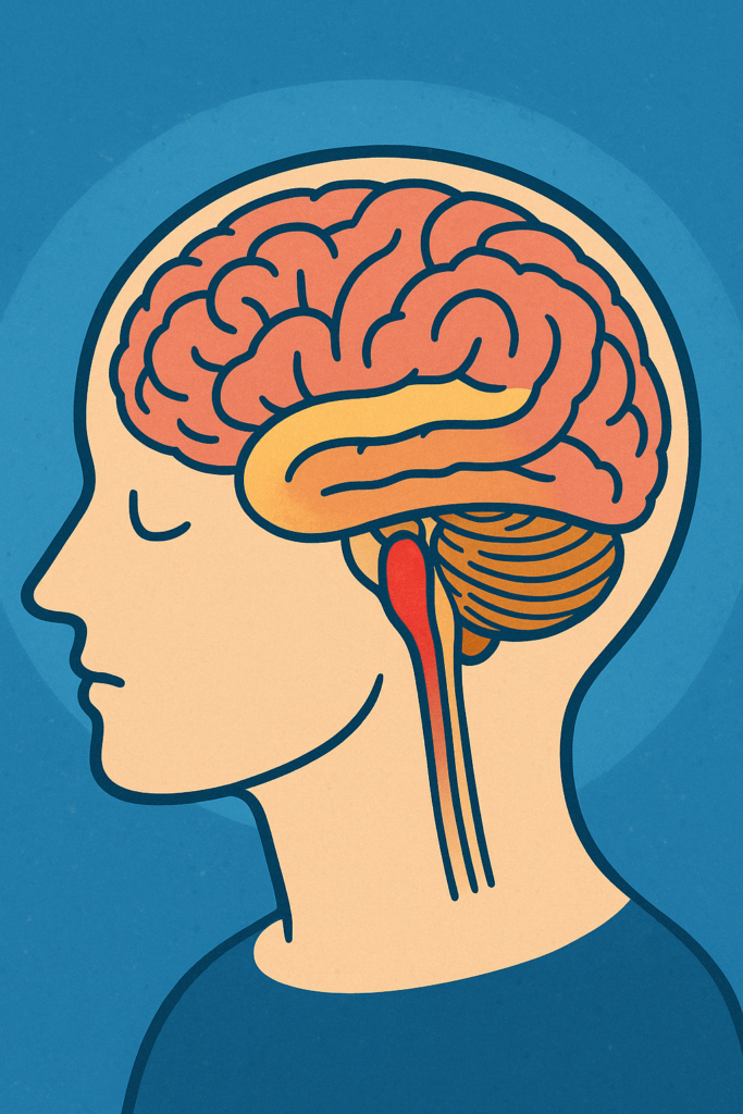 the role of the reticular activating system (ras)